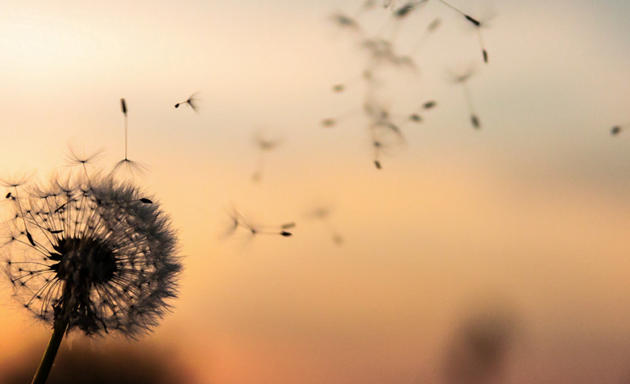 O amor que você não exprime hoje se perde para sempre