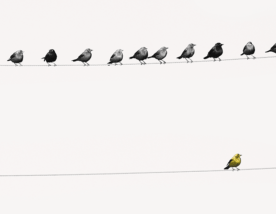 “A coragem de não agradar” e outras lições