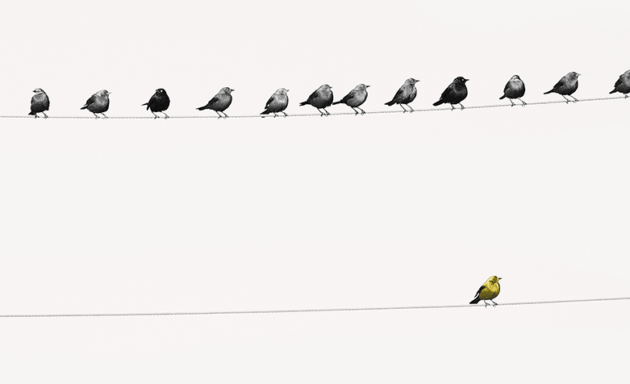 “A coragem de não agradar” e outras lições