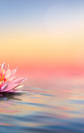 Ho’oponopono para todos os dias: o equilíbrio começa dentro da gente