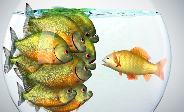 A nova arma de Robert Cialdini para te transformar em um mestre da influência