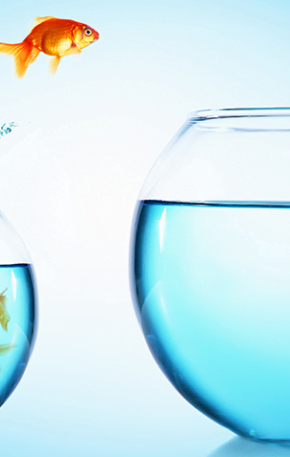 Maximizar oportunidades e minimizar os riscos: a importância da estratégia