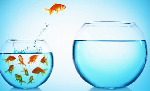 Maximizar oportunidades e minimizar os riscos: a importância da estratégia