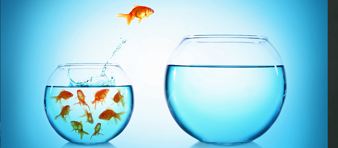 Maximizar oportunidades e minimizar os riscos: a importância da estratégia