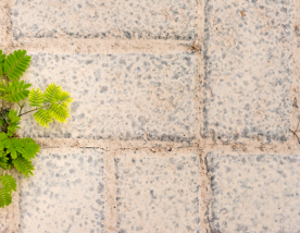 “O poder da resiliência”: como lidar com as adversidades e se tornar o seu melhor amigo