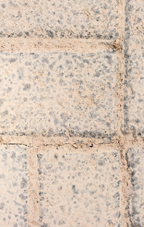 “O poder da resiliência”: como lidar com as adversidades e se tornar o seu melhor amigo