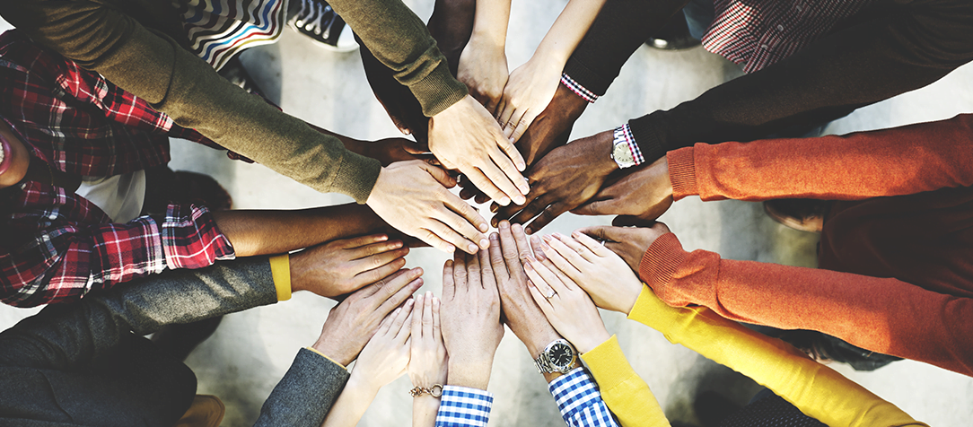 “Juntos somos melhores”: uma fábula para falar sobre ambiente profissional tóxico