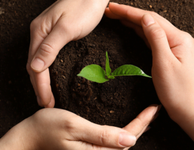 Greta Thunberg: a pequena gigante