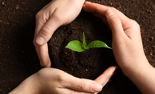 Greta Thunberg: a pequena gigante