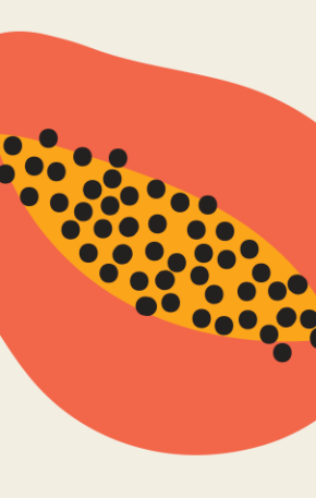 “As mulheres primeiro”: o sexo oral como princípio do prazer feminino