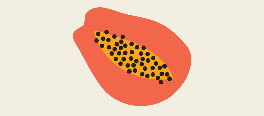 “As mulheres primeiro”: o sexo oral como princípio do prazer feminino