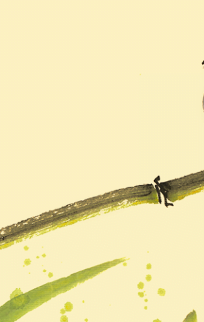 “Histórias lindas de morrer”: como a certeza da morte transforma o valor da vida