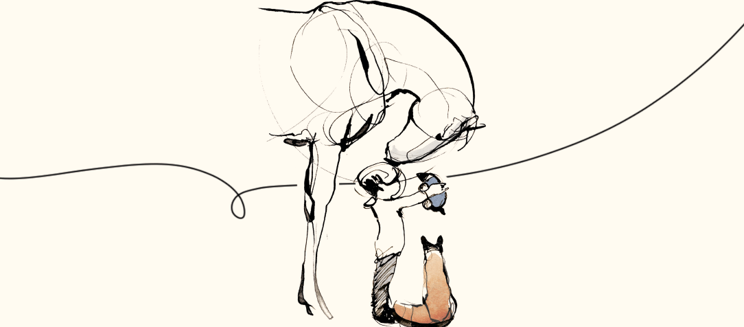 Uma pequena grande obra sobre o que realmente importa