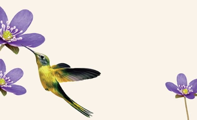 Você escolhe ser livre?