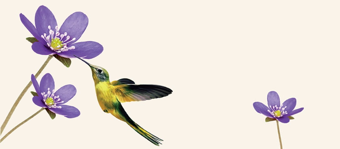 Você escolhe ser livre?