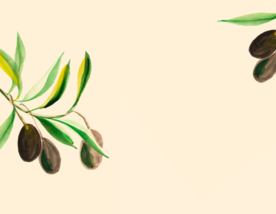 Como começar a construir hoje uma velhice boa, feliz e guiada pela coragem de viver?