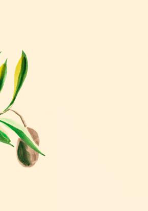 Como começar a construir hoje uma velhice boa, feliz e guiada pela coragem de viver?