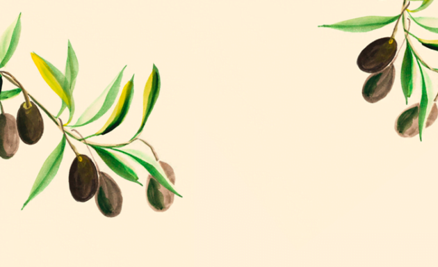 Como começar a construir hoje uma velhice boa, feliz e guiada pela coragem de viver?