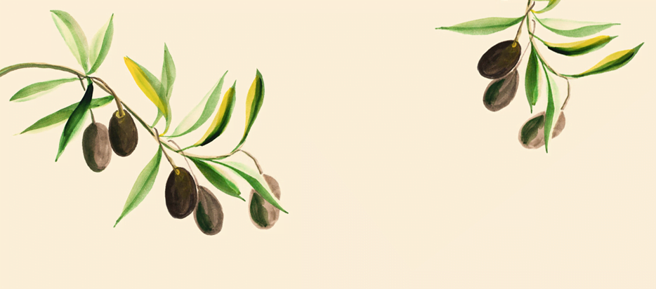 Como começar a construir hoje uma velhice boa, feliz e guiada pela coragem de viver?