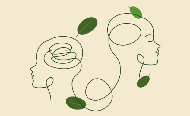 5 livros para se tornar atento e forte