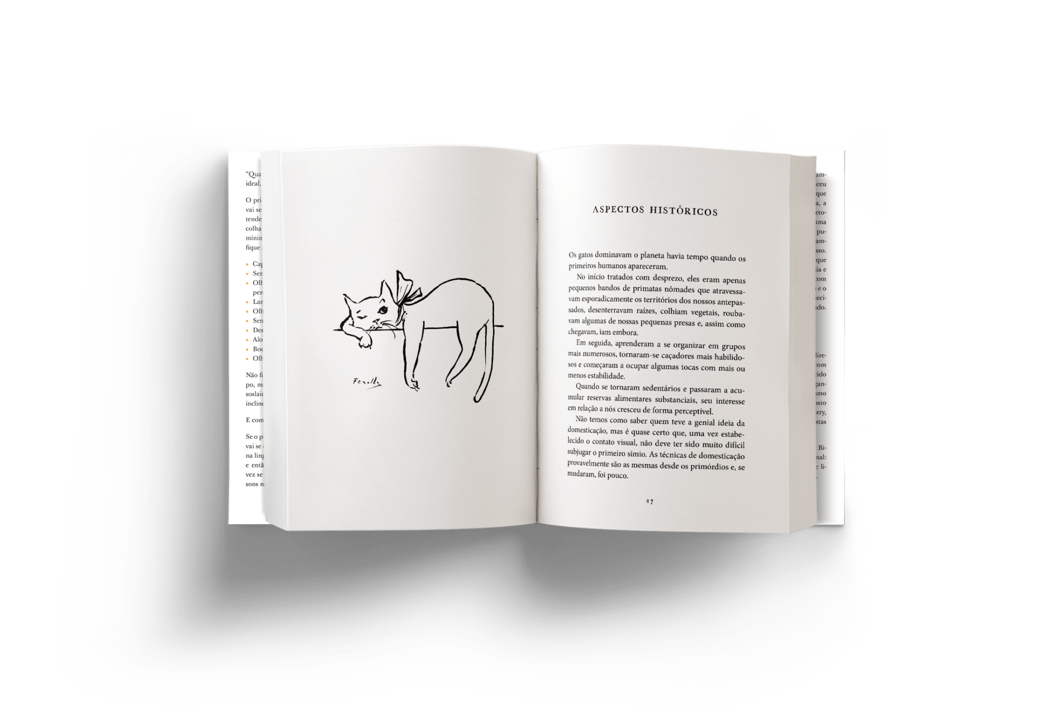 Livro